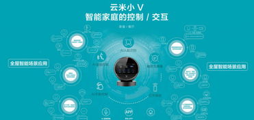 從技術追夢到商業奇跡 雷軍如何四年塑造價值43億的網絡技術獨角獸