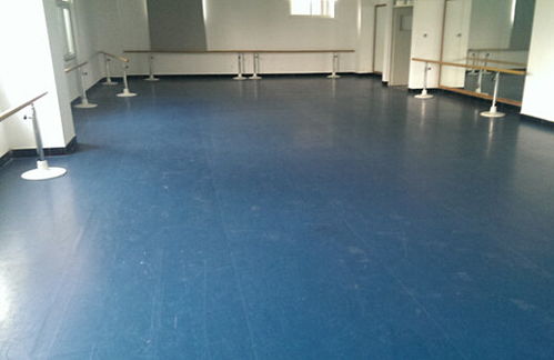 常德醫(yī)院pvc地膠施工專業(yè)隊(duì)伍放心選擇