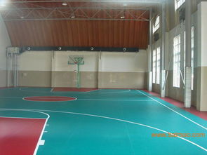 塑膠地板概述 類型、應用與價格指南