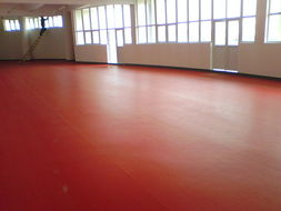 石家莊、唐山、秦皇島、邯鄲、邢臺PVC塑膠地板供應 專業運動場地解決方案