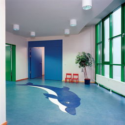 探索韓國(guó)LG品牌塑膠地板 武漢專(zhuān)業(yè)運(yùn)動(dòng)地板與高清大圖解析