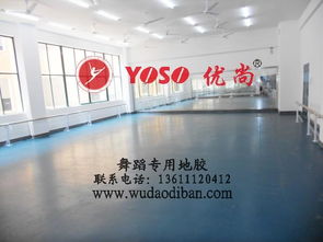 專業舞蹈塑膠地板 保護、減震、排壓與批發的全方位解析
